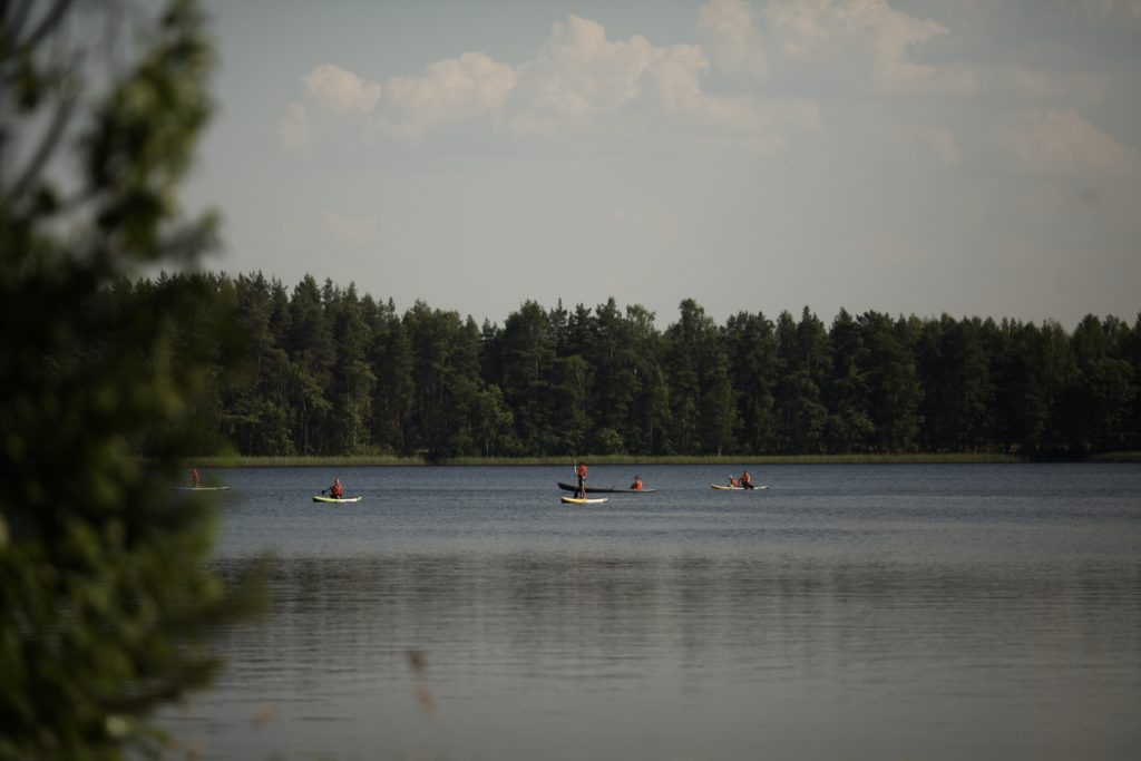 21-я ДИКАЯ (Моск. обл., 22.06 - 12.07, 21 день) - 10